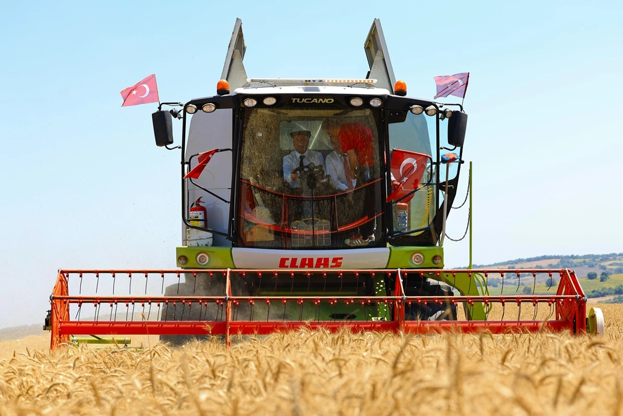 tarim istanbul (1) kapak