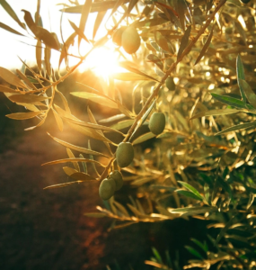 flor-saurina-unsplash