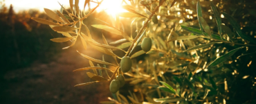 flor-saurina-unsplash