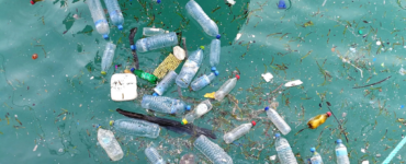 Küresel Plastik