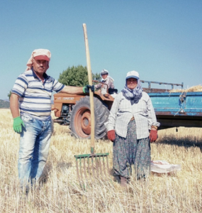 Çiftçi