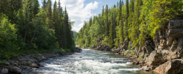 jon-flobrant-unsplash ONCELIKLI k