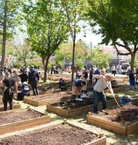 kadikoy bostani