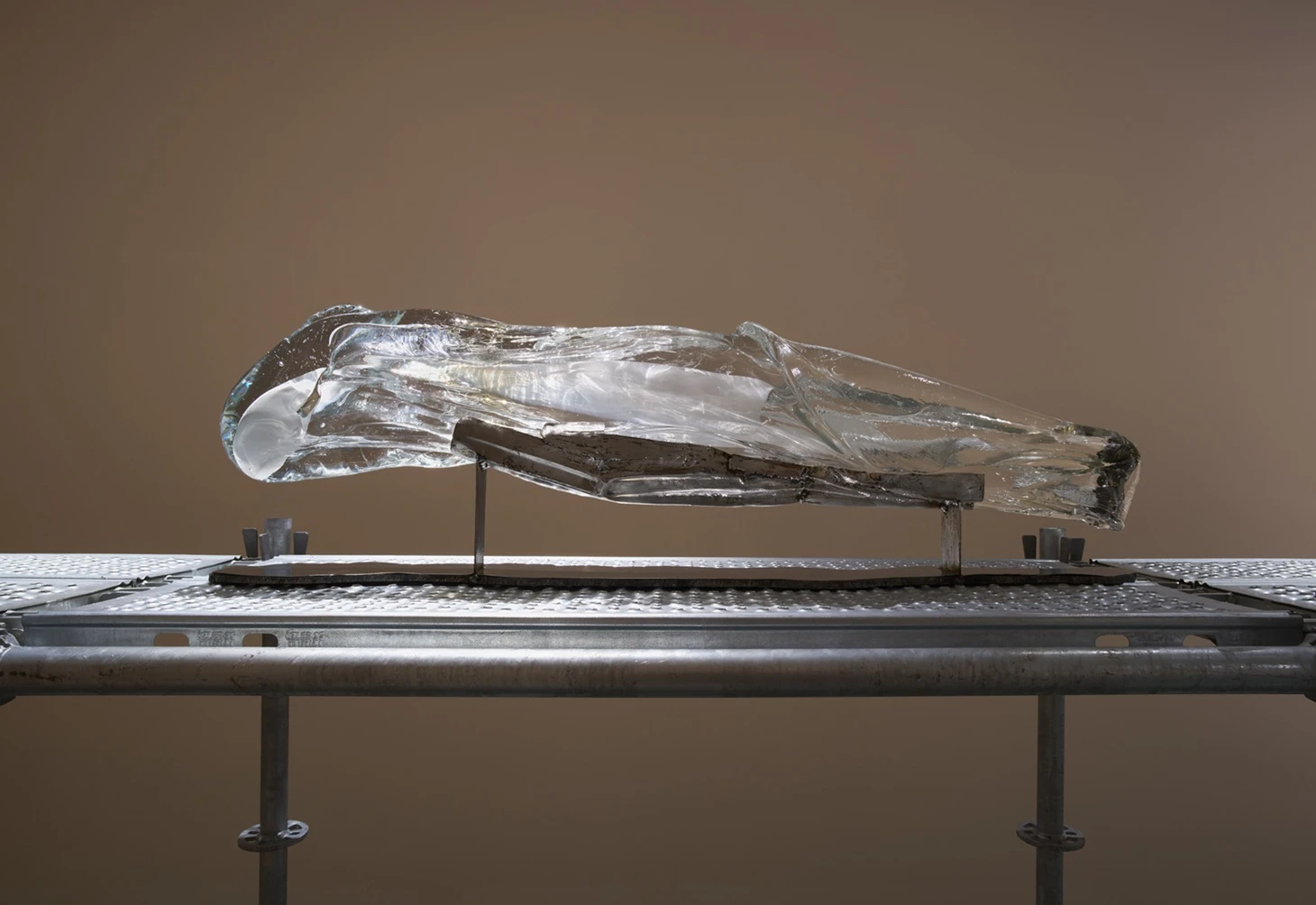 Pera_AsaJungnelius 2 k