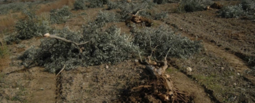 Doğa