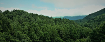 pexels-megapixel-1481581