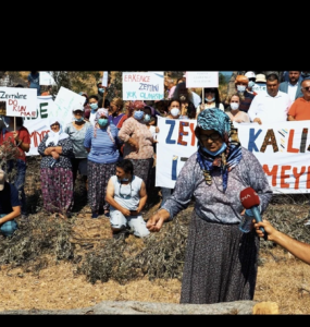 Doğanın