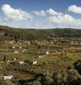 Seferihisar