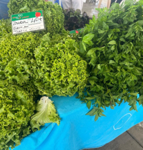 Ekolojik Pazarlar