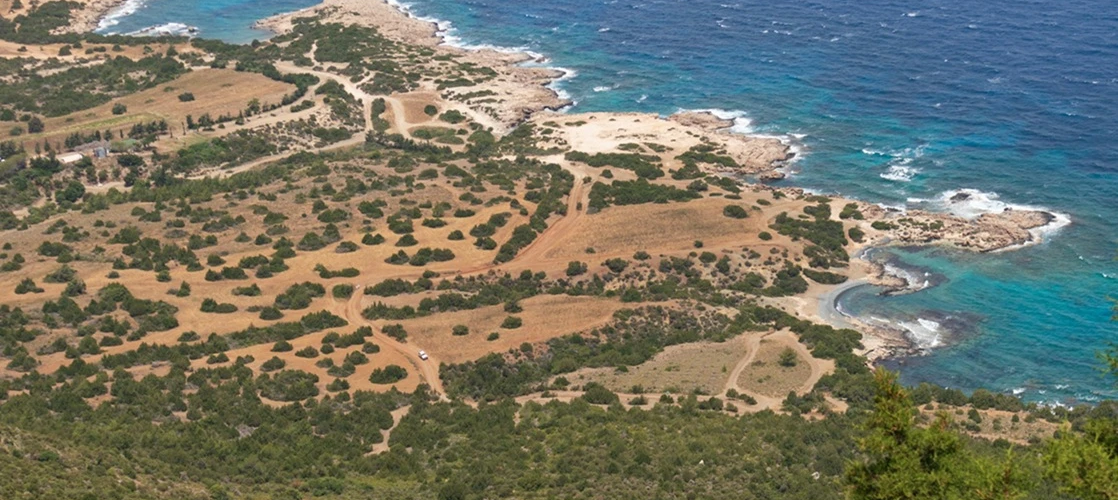 Tahvil