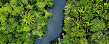 robin-canfield-MjPSnPNl_wE-unsplash kapak k