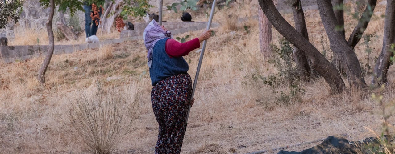 Tarımda