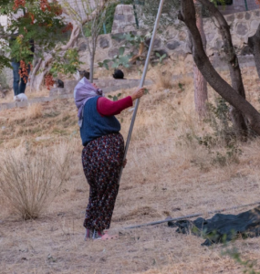 Tarımda