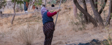 Tarımda