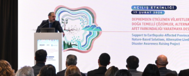 Ekosistem Restorasyonu