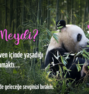 Gezegenimiz