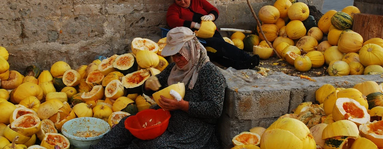 İş Gücüne Katılım