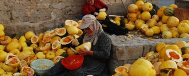 İş Gücüne Katılım