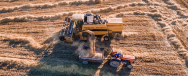 pexels-adem-albayrak-383796555-30564302