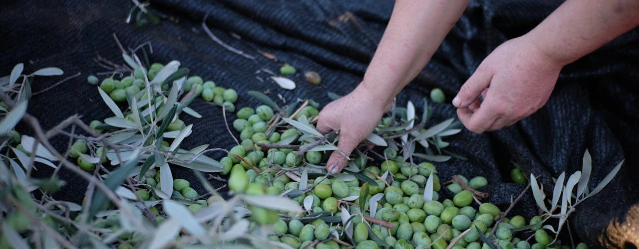 pexels-gianpieroferraro-10510951