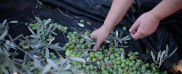 pexels-gianpieroferraro-10510951