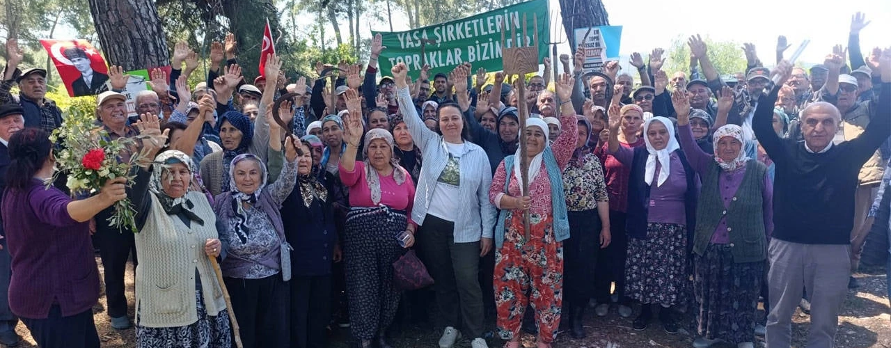 Kamulaştırma