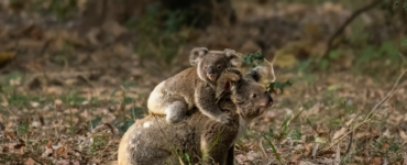 anthony-parker-1FvA74aUWO0-unsplash