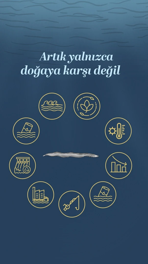 avryilanbaligi iceride
