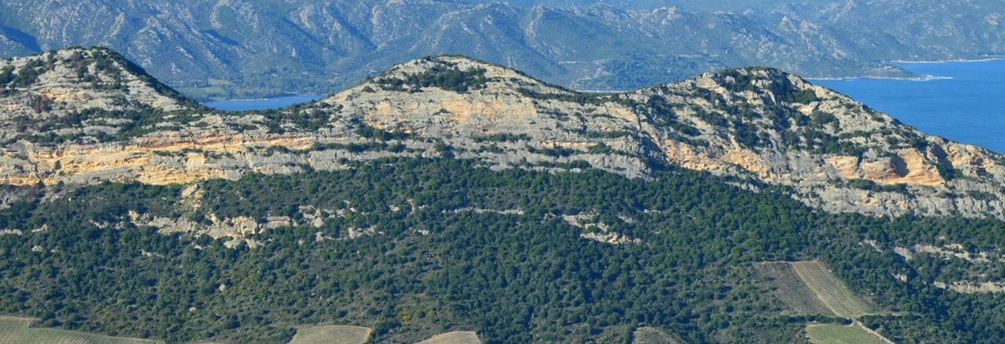 Akdeniz