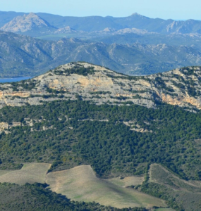 Akdeniz