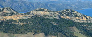 Akdeniz