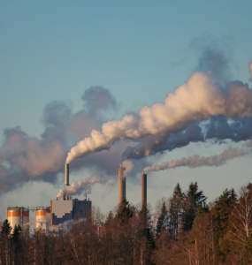COP31