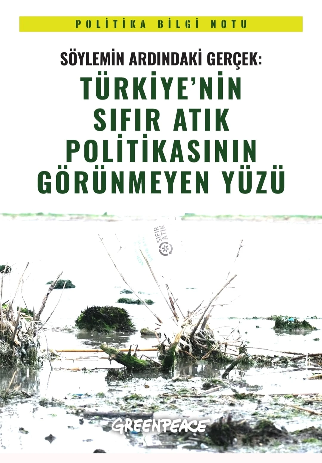greenpeace bilginotu
