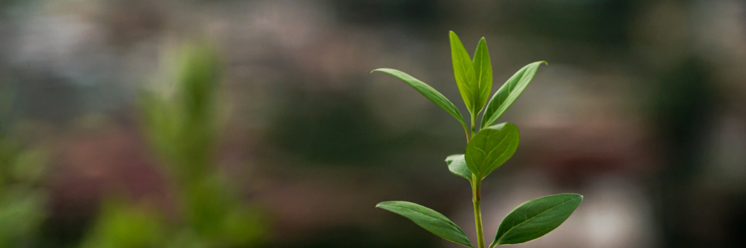 pema-gyamtsho-PANYR2-Asb4-unsplash