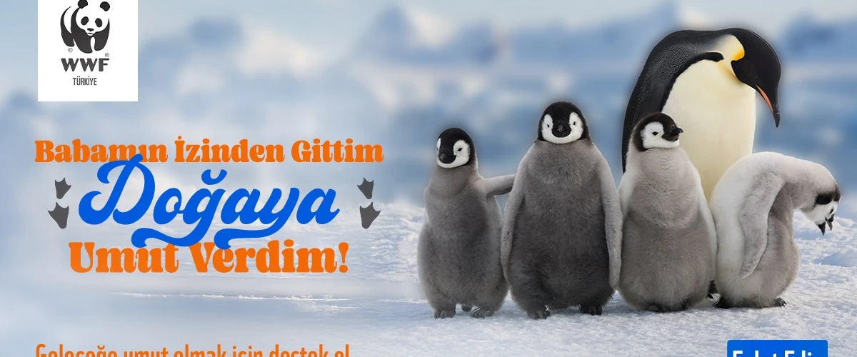 Umut