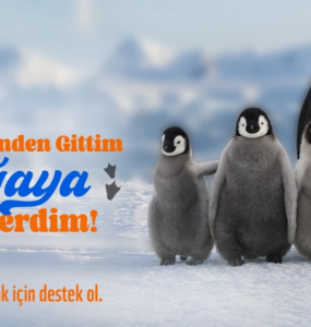 Umut