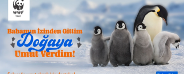 Umut