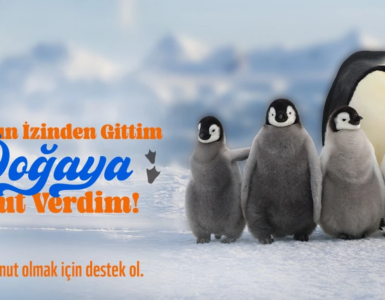 Umut