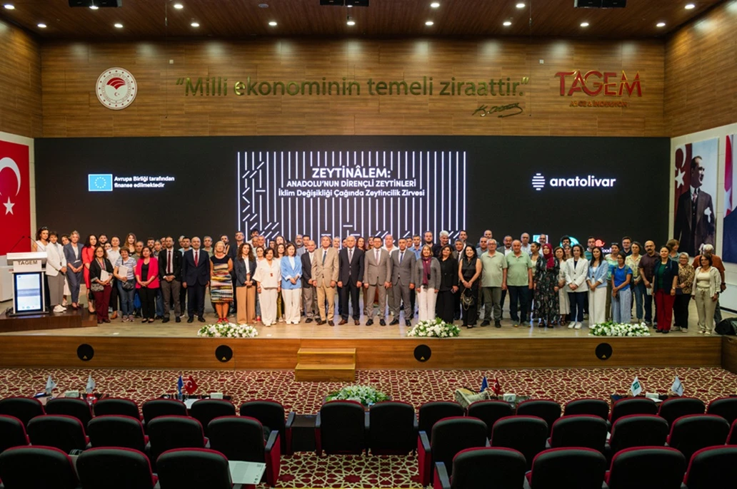 zeytinalem iceride