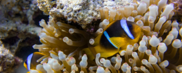 oliver-schwaneberg-X3LfGLsl3wo-unsplash
