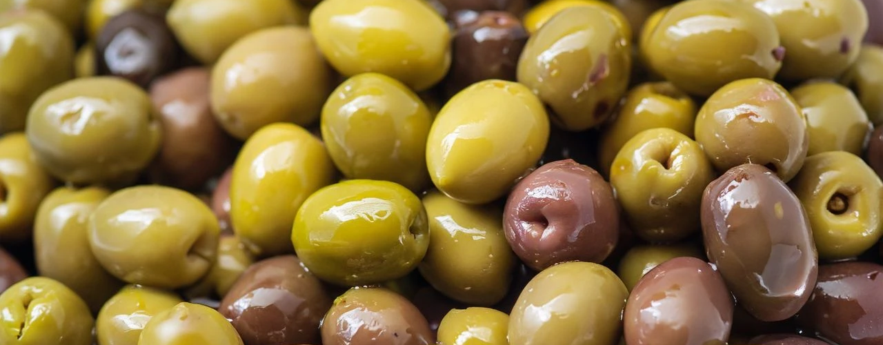 Zeytin Atlası