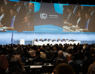 UN Climate Change Lara Murillo kapak