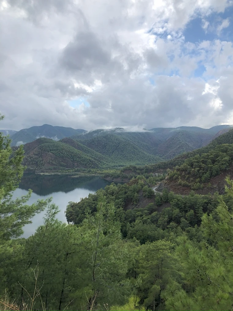 © FSC Turkiye - Sukran Baycura 1 iceride k