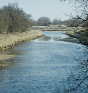 Kömürlü