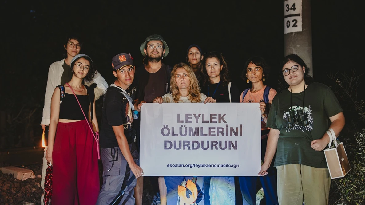 leylek olumleri