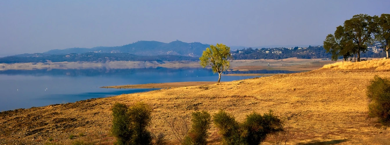 Arazi