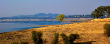 Arazi