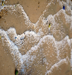 Mikroplastik