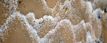 Mikroplastik