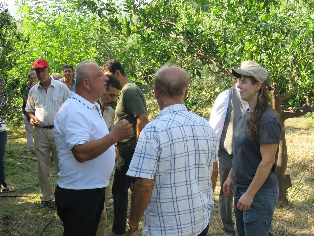 Dayanıklı